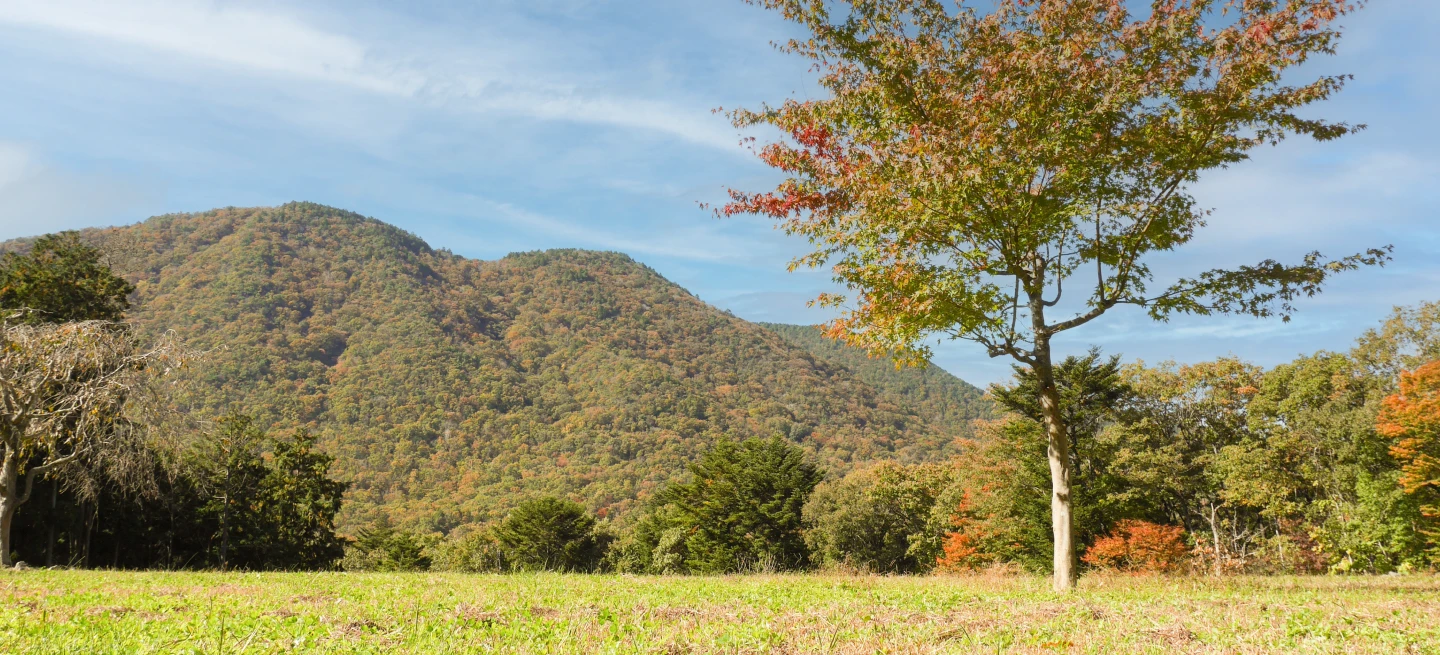 Secret Fortのキャンプ場の風景